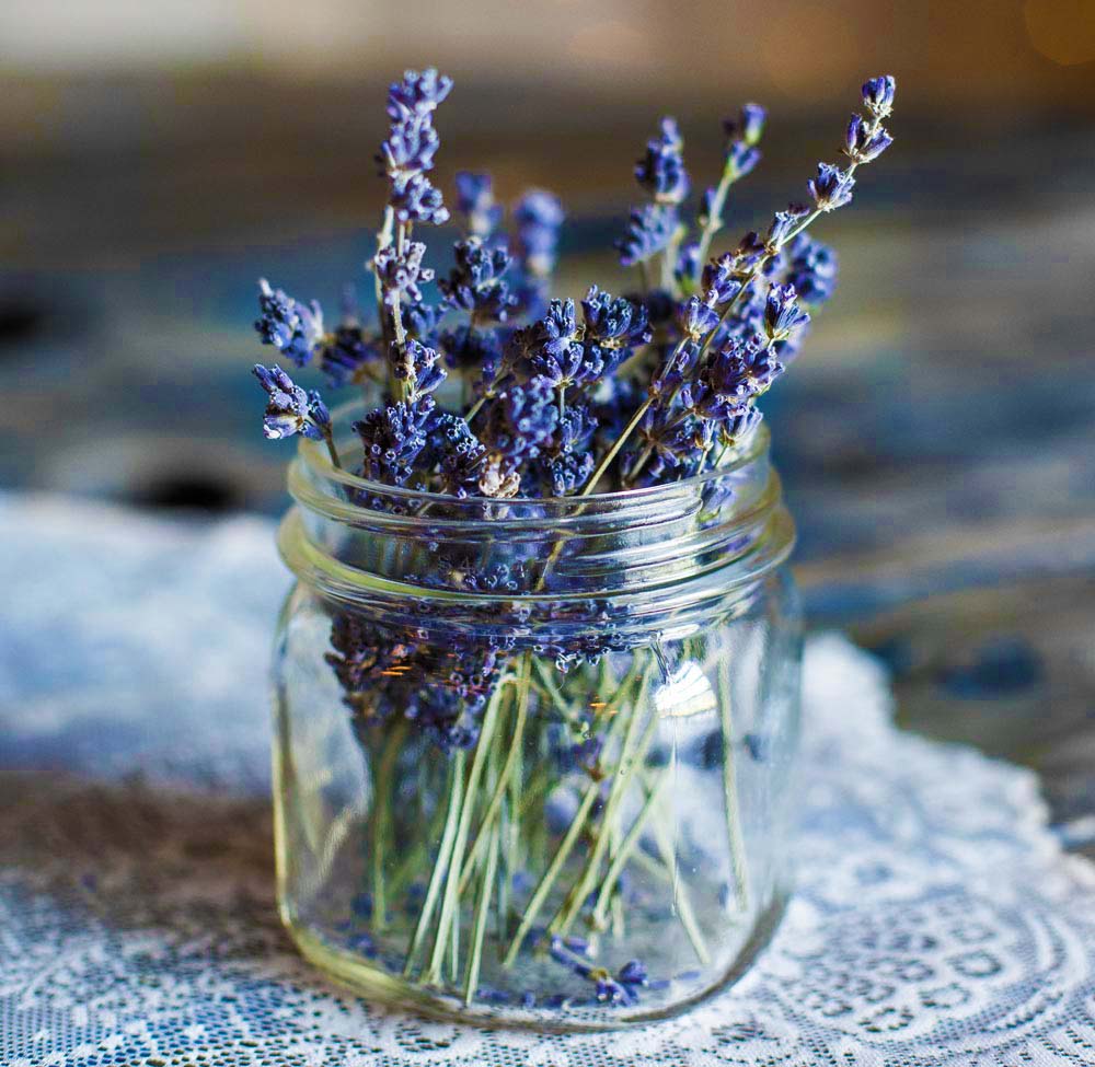 Lavender flowers in a glass jar on a table
