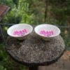 Color Changing by Temperature Cherry Blossom Sake Cup by Garden of Alice